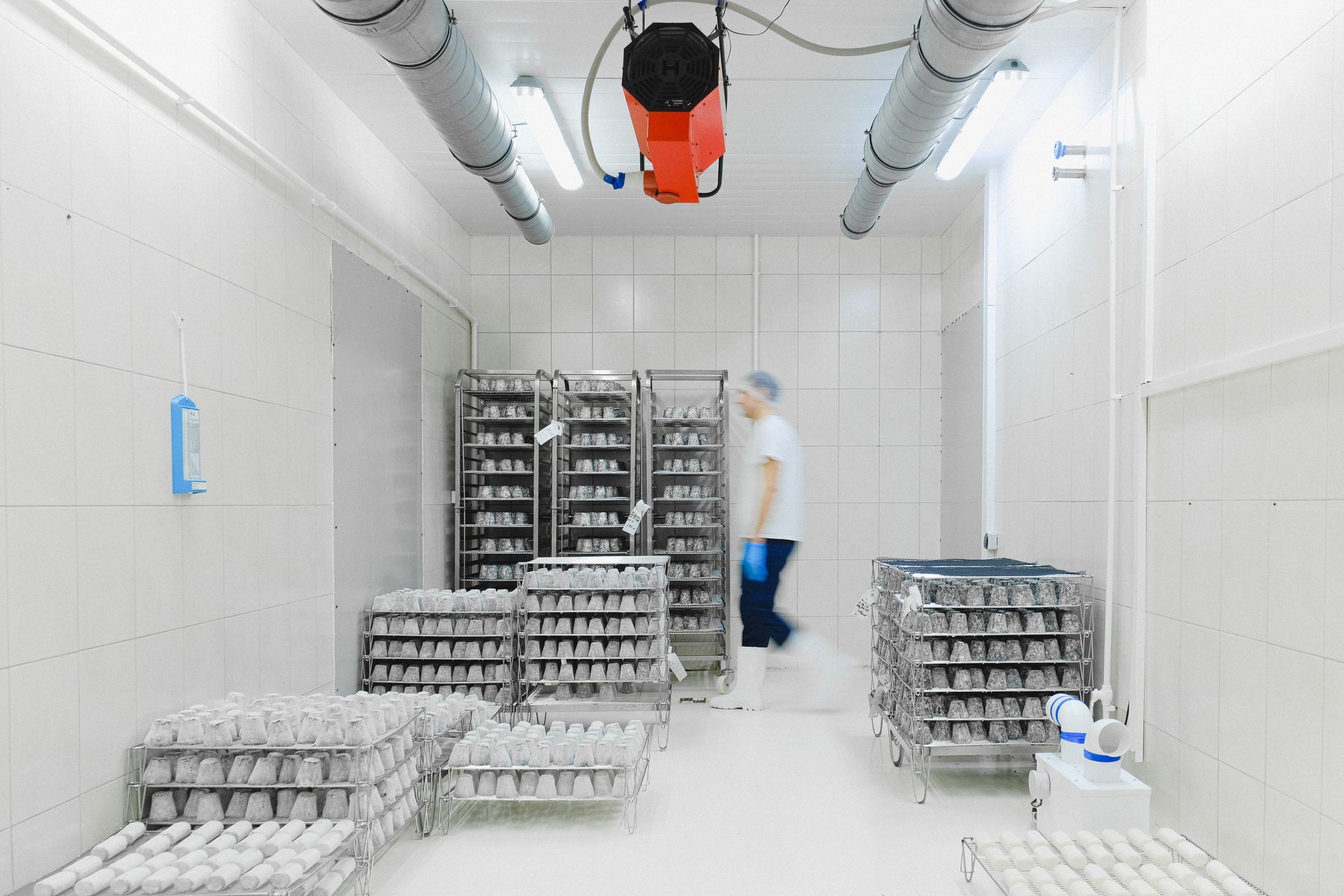 cold chain logistics