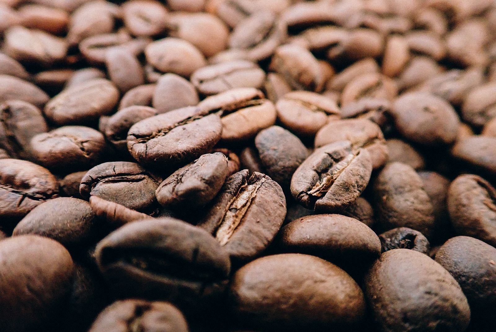 Coffee beans and agricultural export cargo