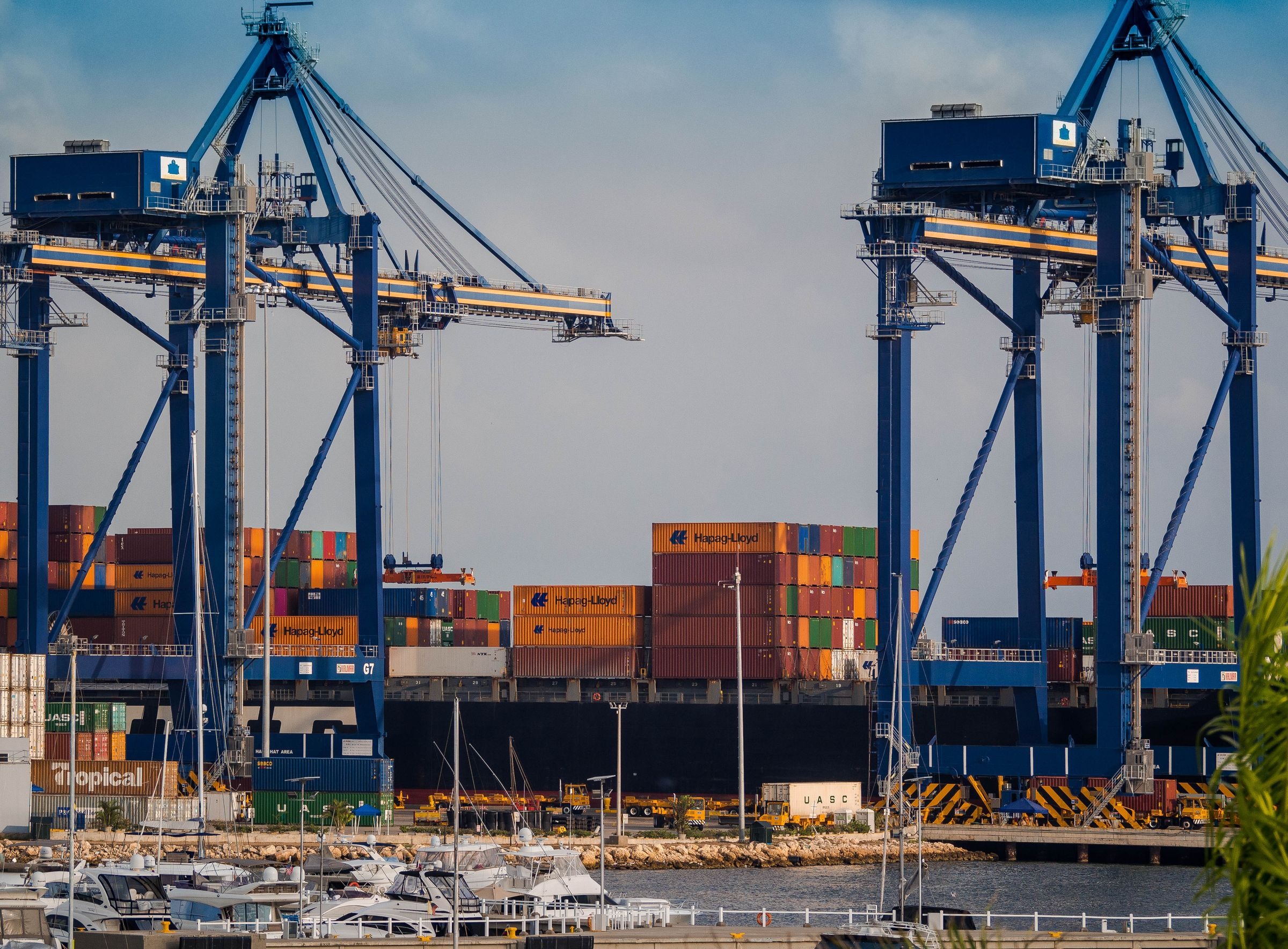 Blue gantry cranes at a container terminal